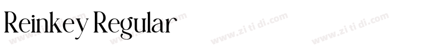 Reinkey Regular字体转换
